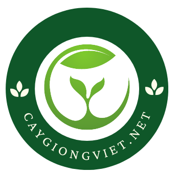 Caygiongviet.net